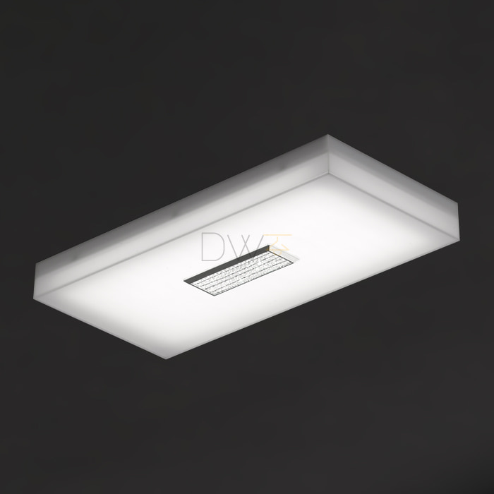 LED 포인트 거실 2등 (50W) [블랙/화이트]