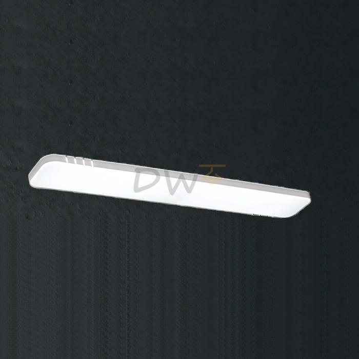 LED 요코 주방 2등 50W (W1204)